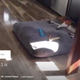 Illustration for article titled Irate Detroit Sports Blogger Yells While His Dog Sleeps, Licks Its Own Ass